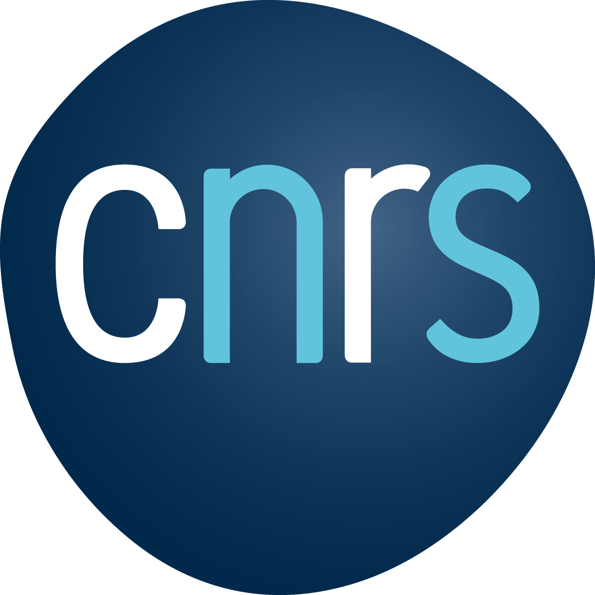 Logo du CNRS - Centre National de Recherche Scientifique