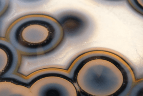 Agrandir l'image - fenêtre modale