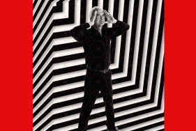 Agrandir l'image - fenêtre modale