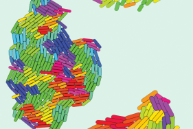 Agrandir l'image - fenêtre modale