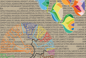 Enlarge the image