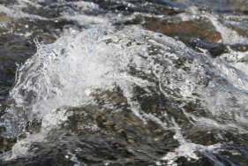 Agrandir l'image - fenêtre modale