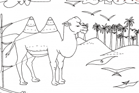 Agrandir l'image - fenêtre modale