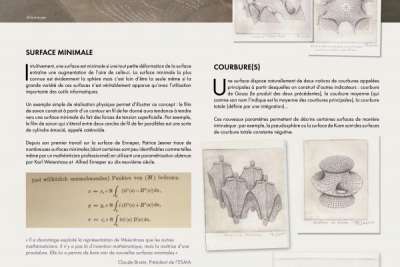 Agrandir l'image - fenêtre modale