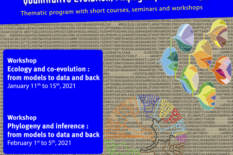 Agrandir l'image - fenêtre modale